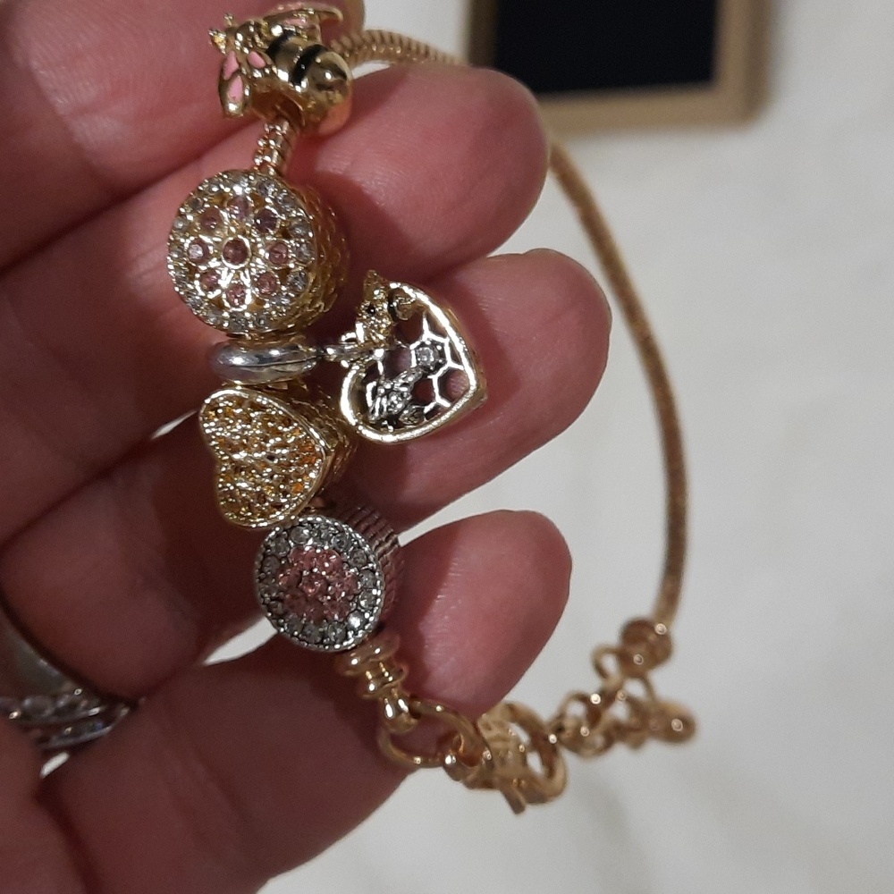 ❤️❤️charm bracelet❣️❣️NWOT